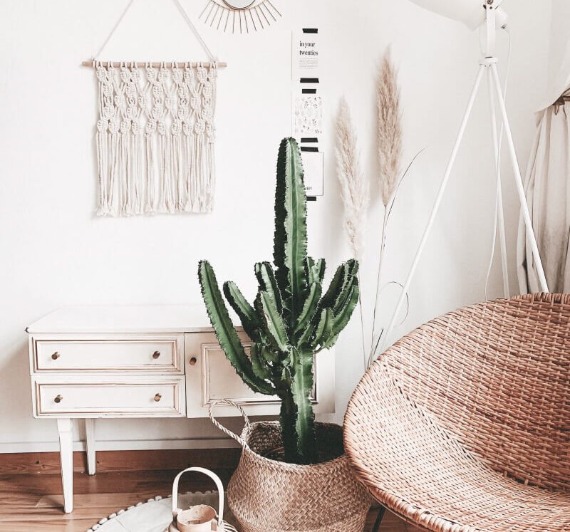 post-lifestyle-bg-25 post-lifestyle-bg-25